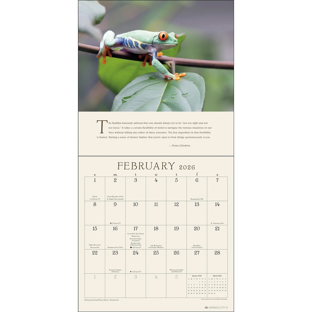 Pema Chödrön 2026 Wall Calendar - Online Exclusive