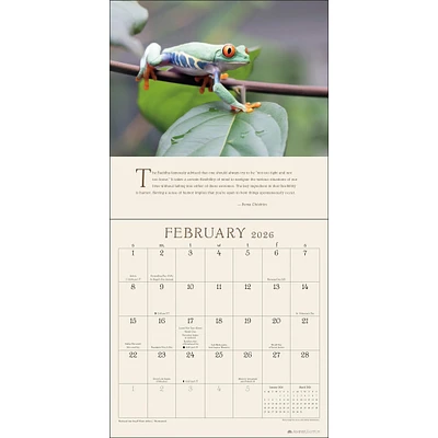 Pema Chödrön 2026 Wall Calendar - Online Exclusive