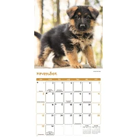 Puppies 2026 Wall Calendar