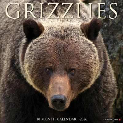 Grizzlies 2026 Wall Calendar