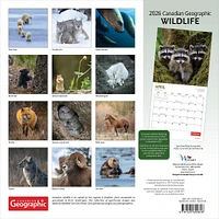 Canadian Geographic Wildlife 2026 Wall Calendar