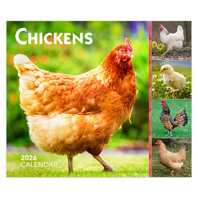 Chickens 2026 Box Calendar - Online Exclusive