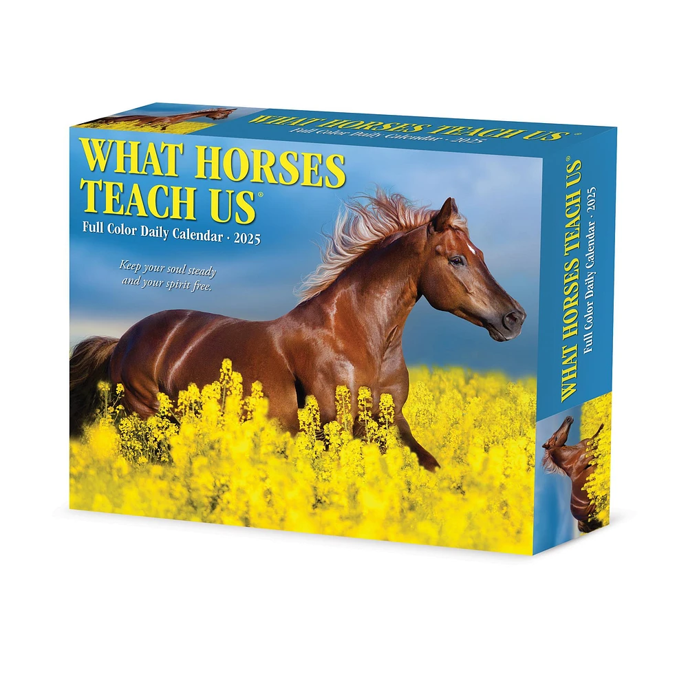 What Horses Teach Us Box 2025 Calendar