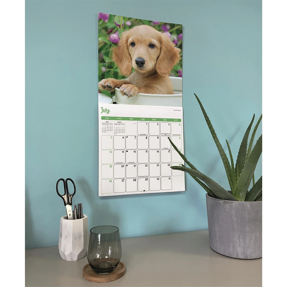 Puppies 2026 Wall Calendar