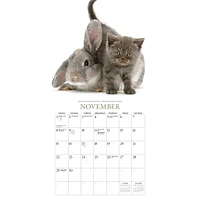 Kittens And Friends Mini  2026 Calendar