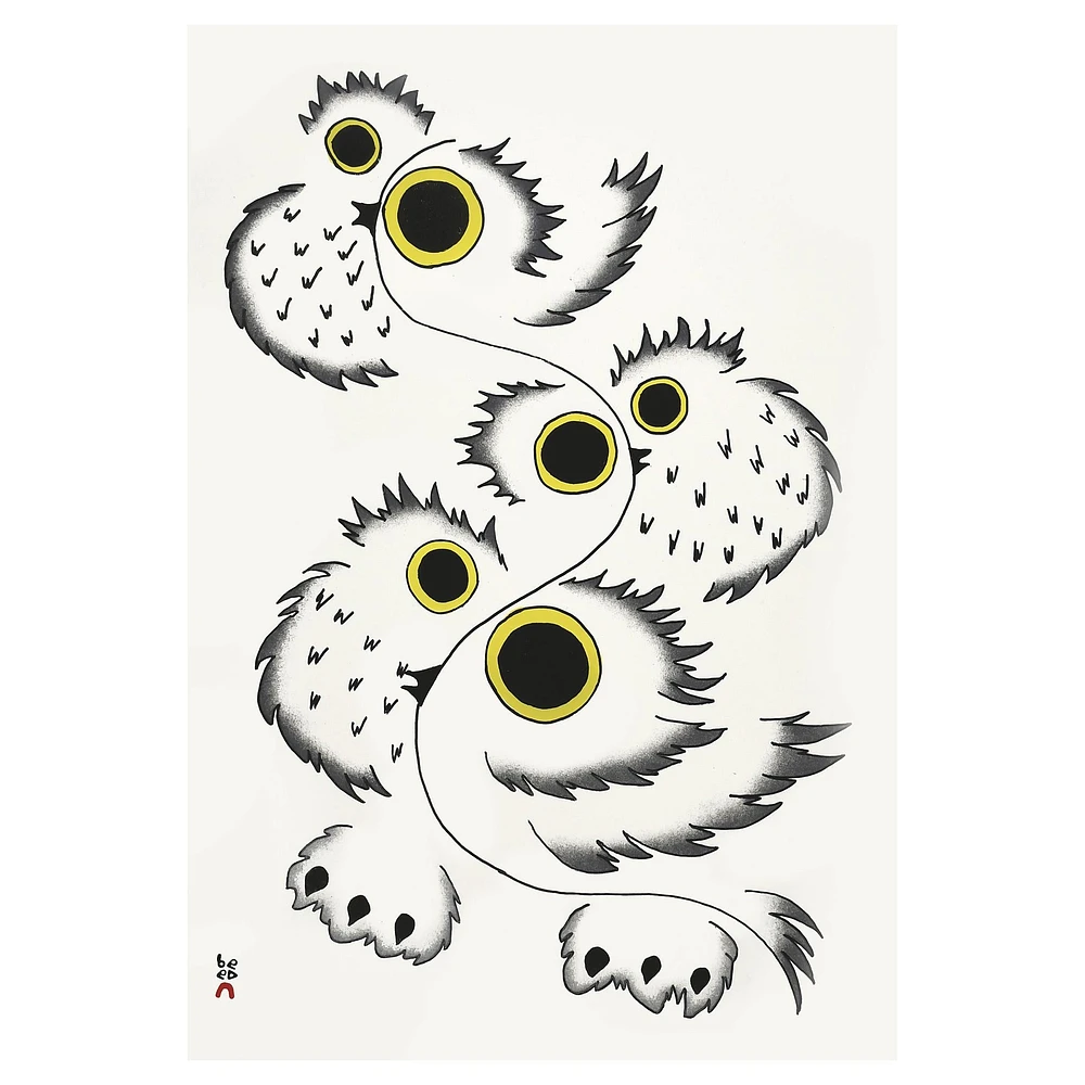 Inuit Art Cape Dorset 2026 Special Edition Wall Calendar with Print