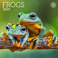 Frogs Mini 2025 Calendar