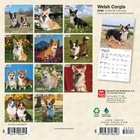 Welsh Corgis 2026 Mini Calendar