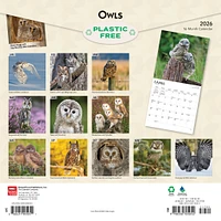 Owls 2026 Wall Calendar - Online Exclusive