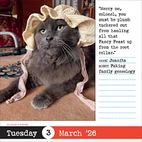 Bad Cat 2026 Box Calendar