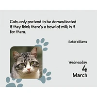 Cats 2026 Small Box Calendar