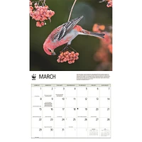 World Wildlife Fund Birds Backyard  2026 Wall Calendar