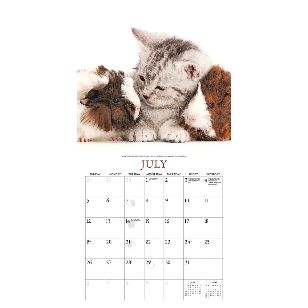 Kittens And Friends Mini  2026 Calendar
