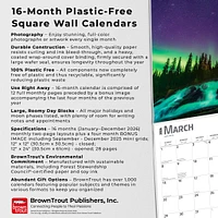 Aurora Borealis Bilingual 2026 Wall Calendar - Online Exclusive