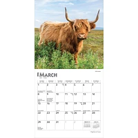 Highland Cows 2026 Mini Calendar