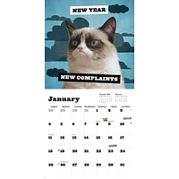 Grumpy Cat 2026 Wall Calendar
