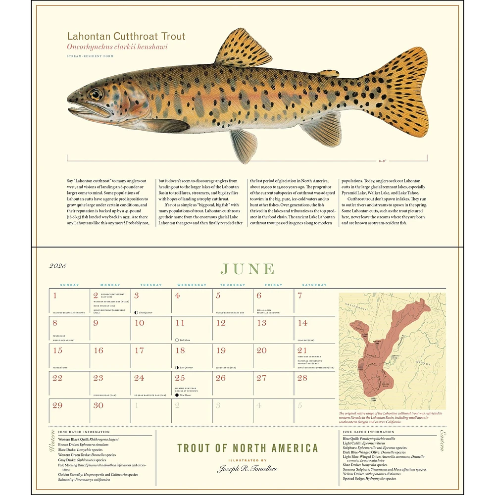 Trout Of North America Wall 2025 Calendar