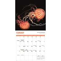 Jellyfish 2026 Wall Calendar
