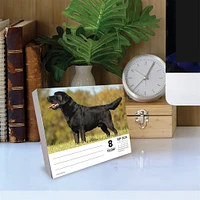 Just Labs 2026 Box Calendar - Online Exclusive