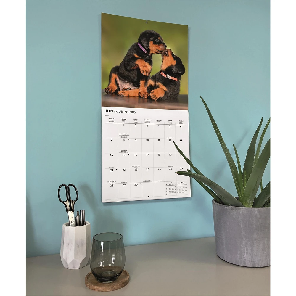 Rottweiler Puppies 2026 Wall Calendar