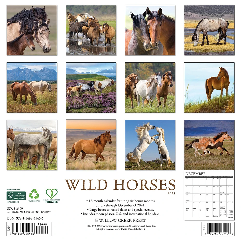 Wild Horses Wall 2025 Calendar