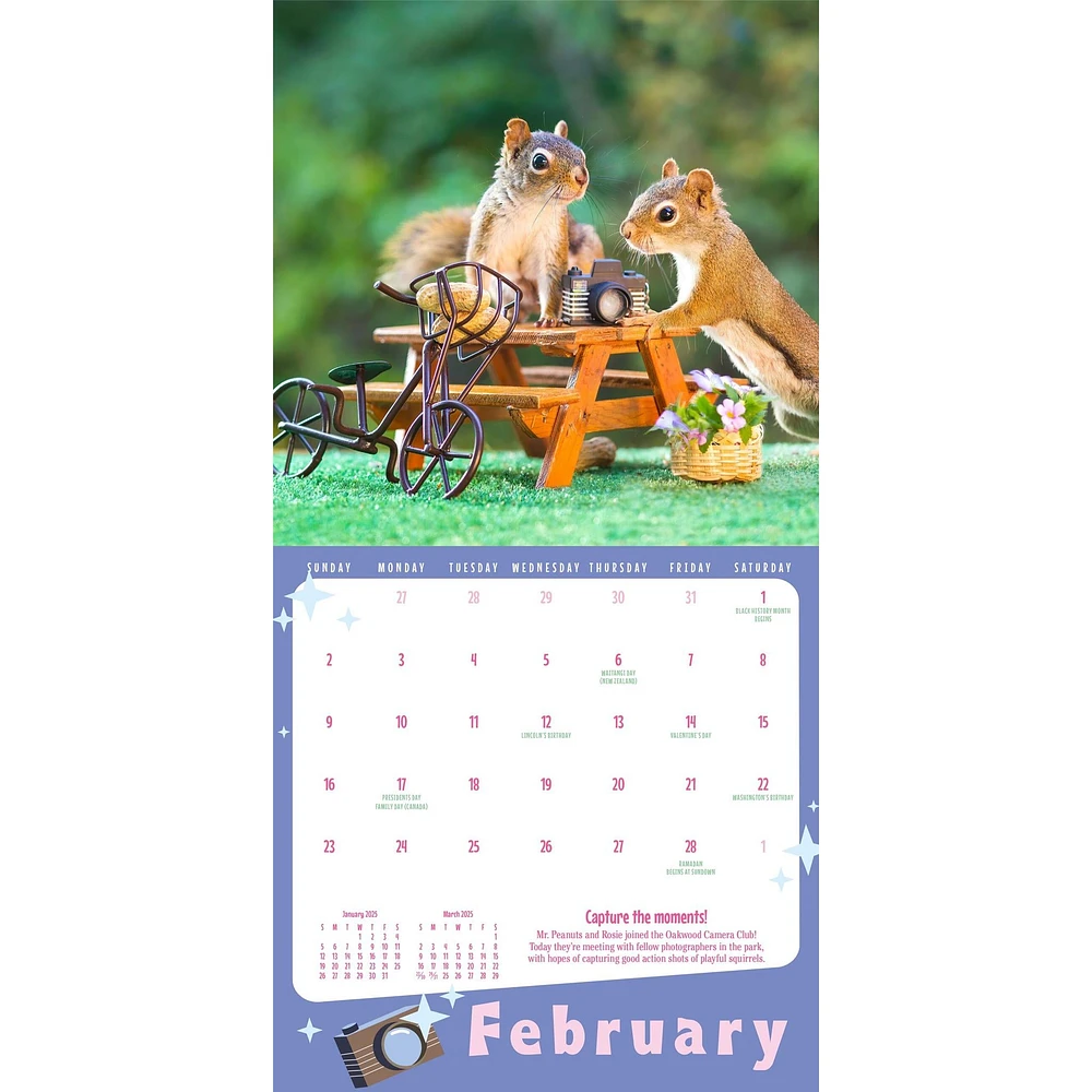 Secret Life Of Squirrels Mini 2025 Calendar