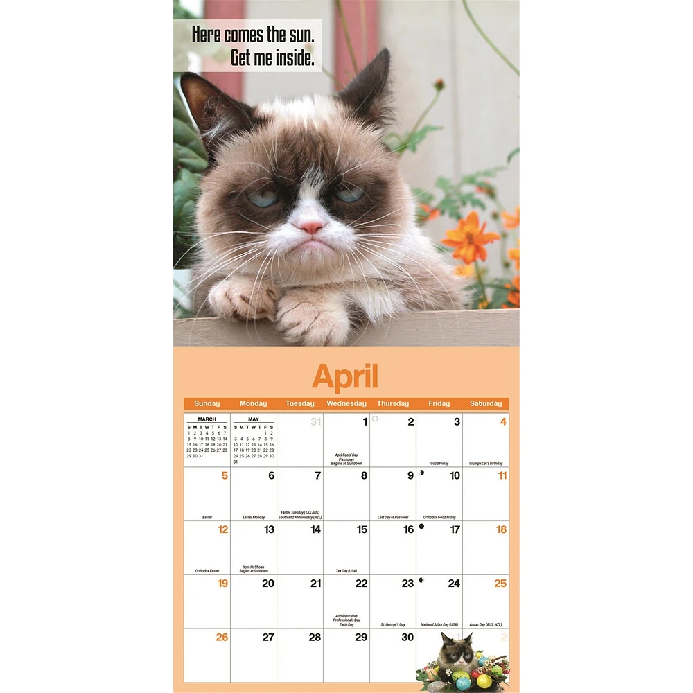 Grumpy Cat 2026 Mini Calendar