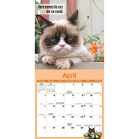 Grumpy Cat 2026 Mini Calendar