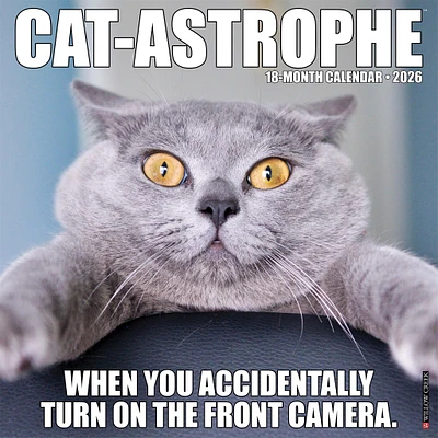 Catastrophe 2026 Wall Calendar