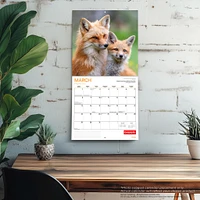 Canadian Geographic Foxes 2026 Wall Calendar - Online Exclusive