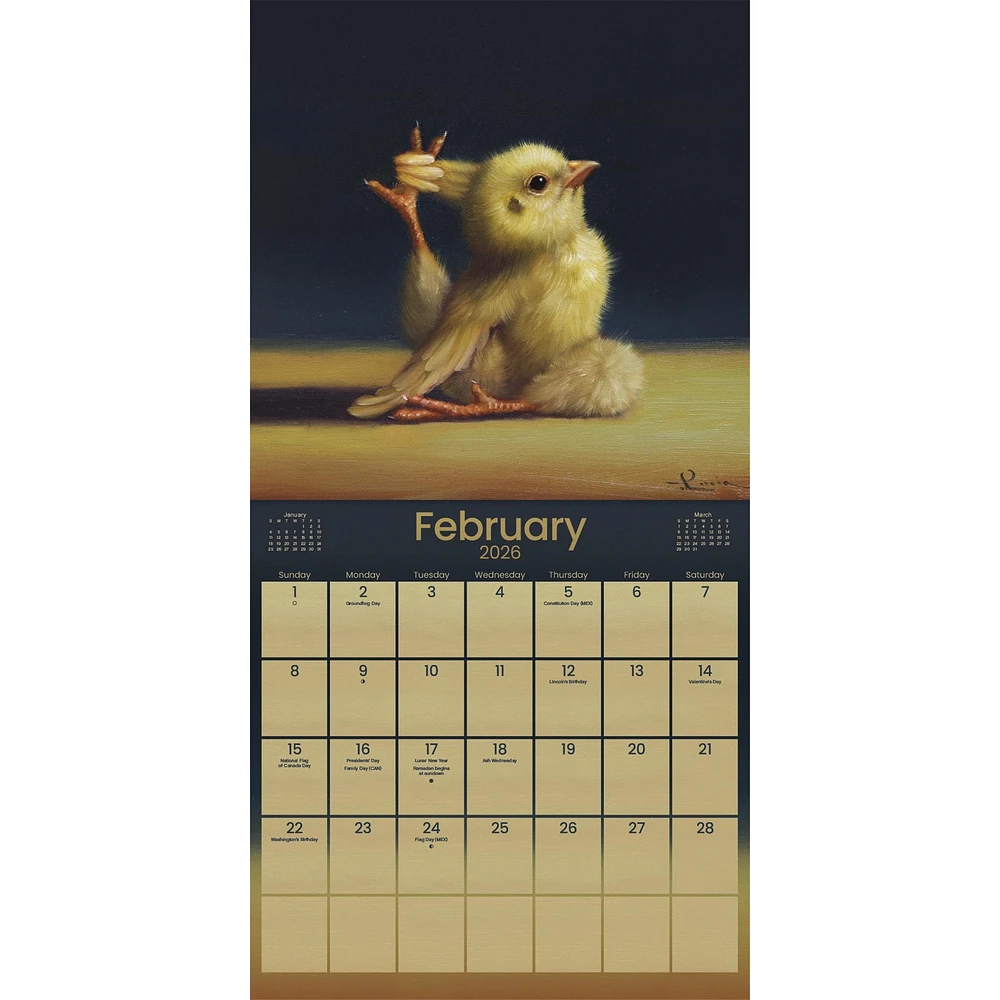 Yoga Chicks 2026 Wall Calendar