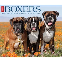 Just Boxers Box 2025 Calendar - Online Exclusive