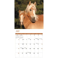 Horses 2026 Wall Calendar