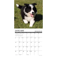 What Puppies Teach Us Wall 2025 Calendar