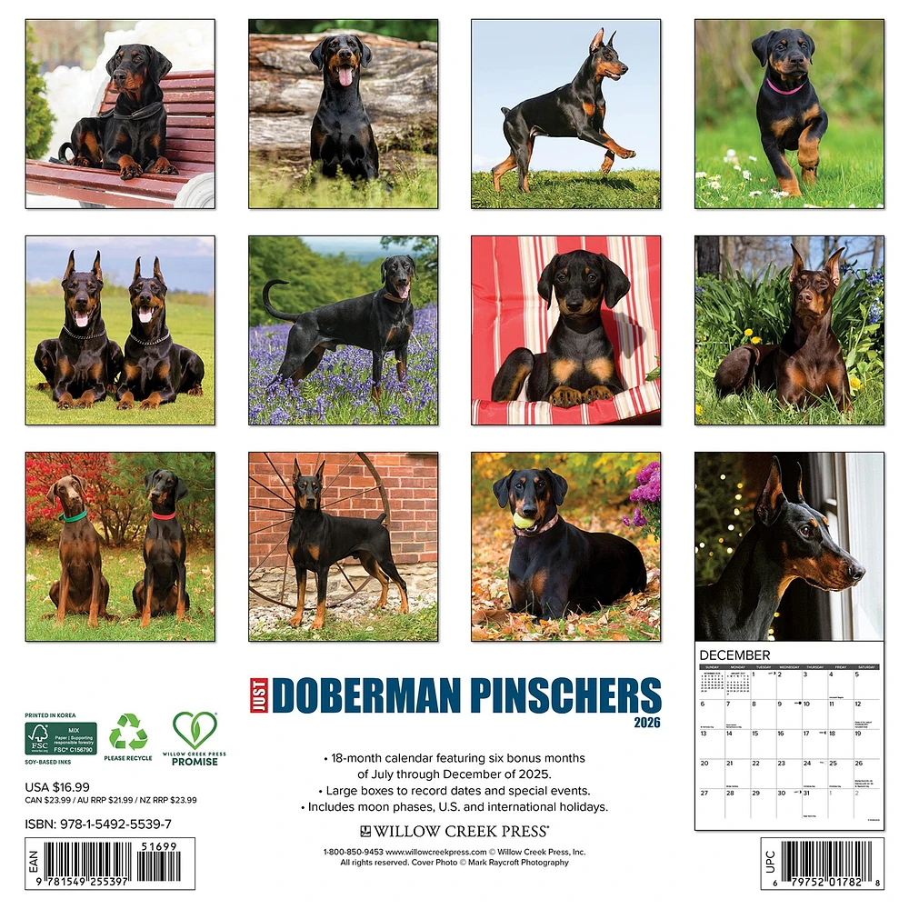 Just Doberman Pinschers 2026 Wall Calendar - Online Exclusive