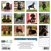 Just Doberman Pinschers 2026 Wall Calendar - Online Exclusive