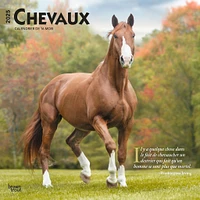 Chevaux Wall 2025 Calendar (French)