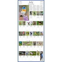 Audubon Songbirds 365 2026 Wall Calendar