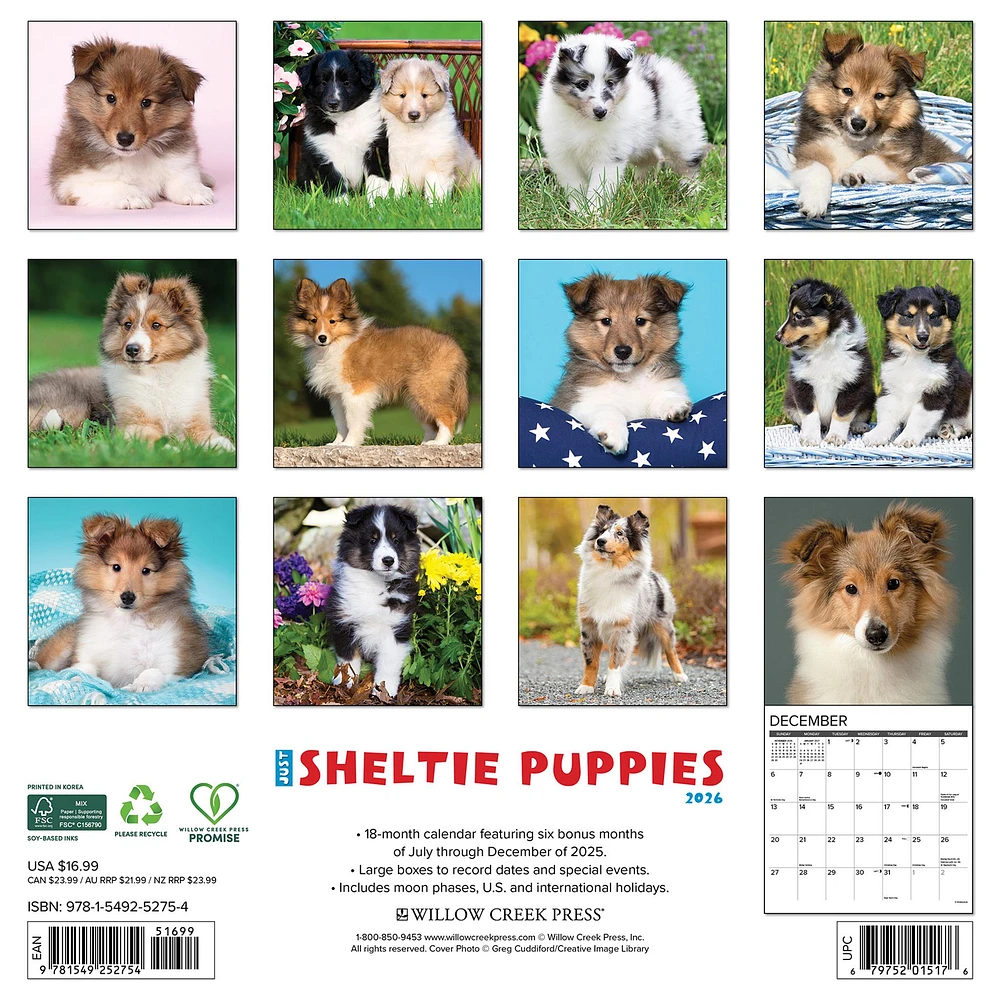 Just Sheltie Puppies 2026 Wall Calendar - Online Exclusive