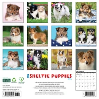 Just Sheltie Puppies 2026 Wall Calendar - Online Exclusive