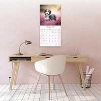 Bearded Collie Wall  2026 Calendar