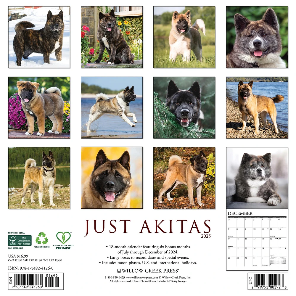 Just Akitas Wall 2025 Calendar - Online Exclusive