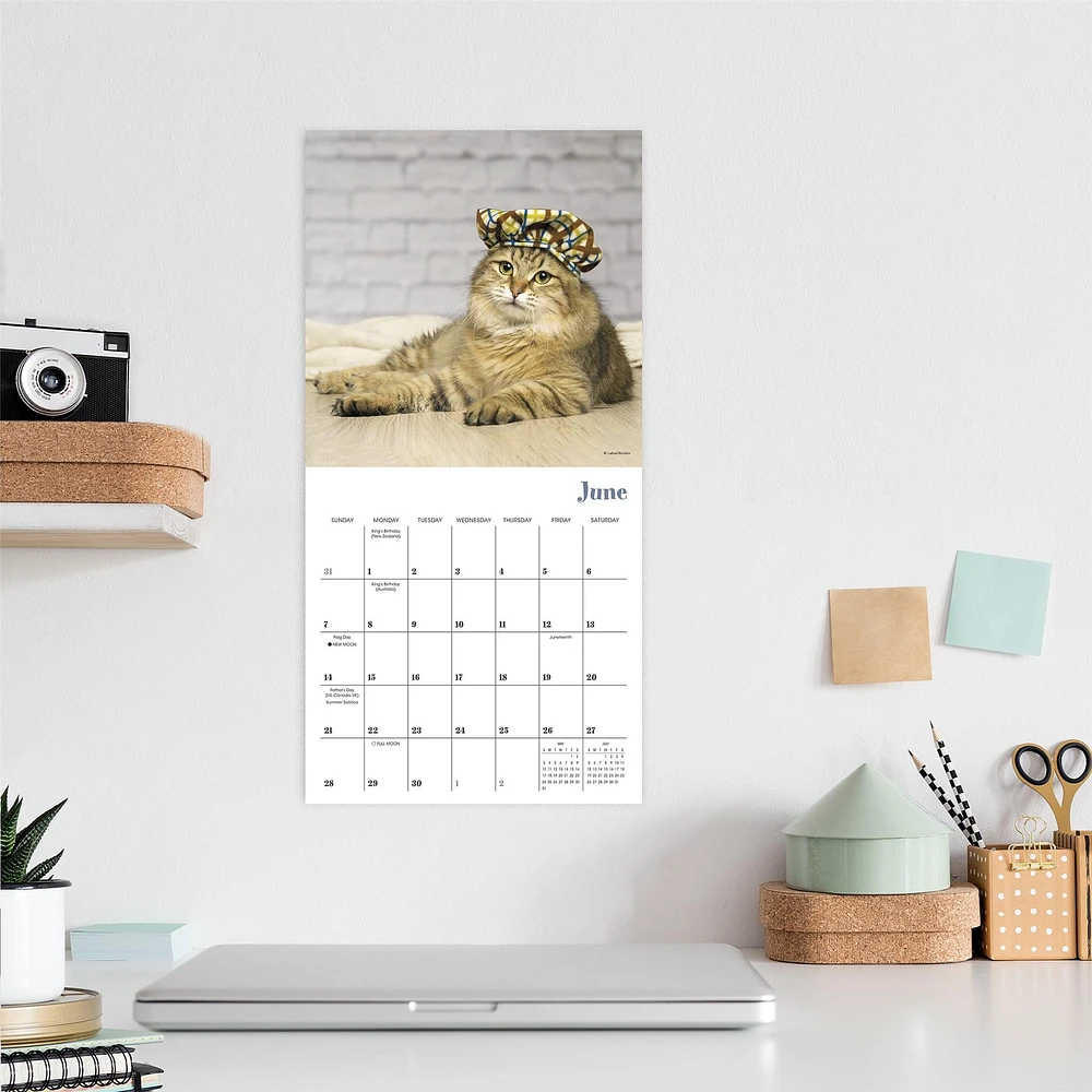 Cats In Hats 2026 Mini Calendar