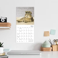 Cats In Hats 2026 Mini Calendar
