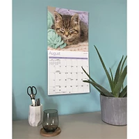 Kitty Naps 2026 Wall Calendar