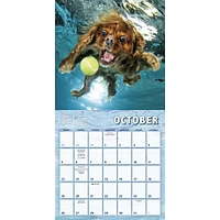 Underwater Puppies Mini 2025 Calendar