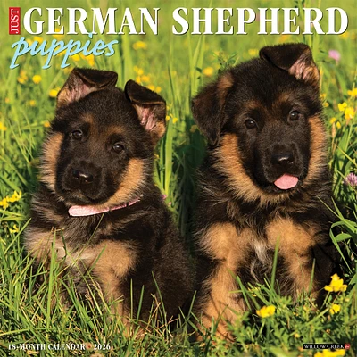Just German Shepherd Puppies 2026 Wall Calendar