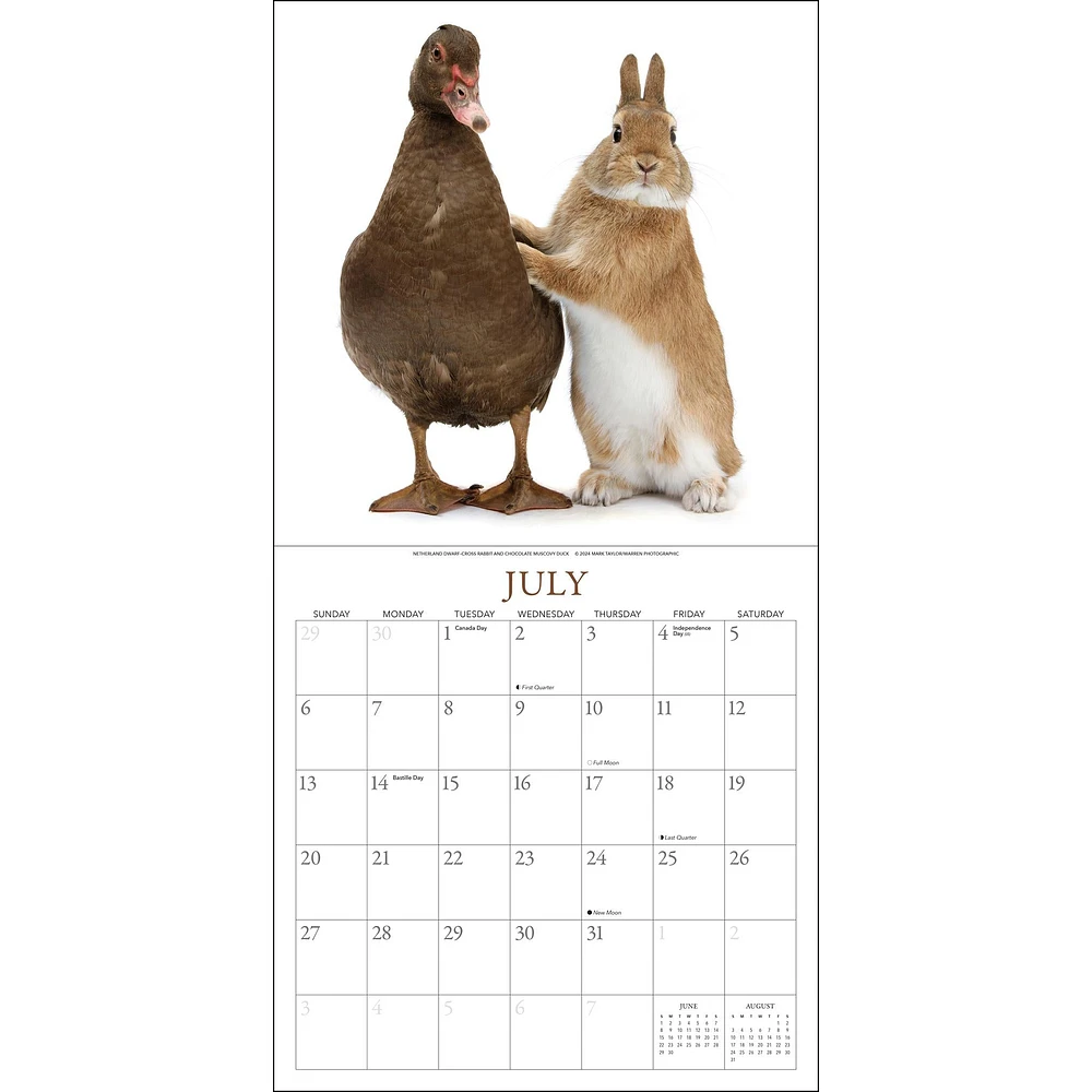 Bunnies And Friends Wall 2025 Calendar