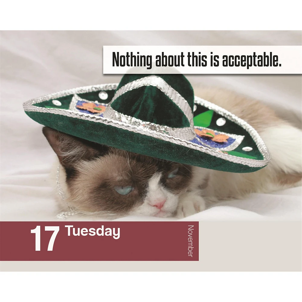 Grumpy Cat 2026 Box Calendar