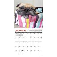 Pug Mugs 2026 Mini Calendar